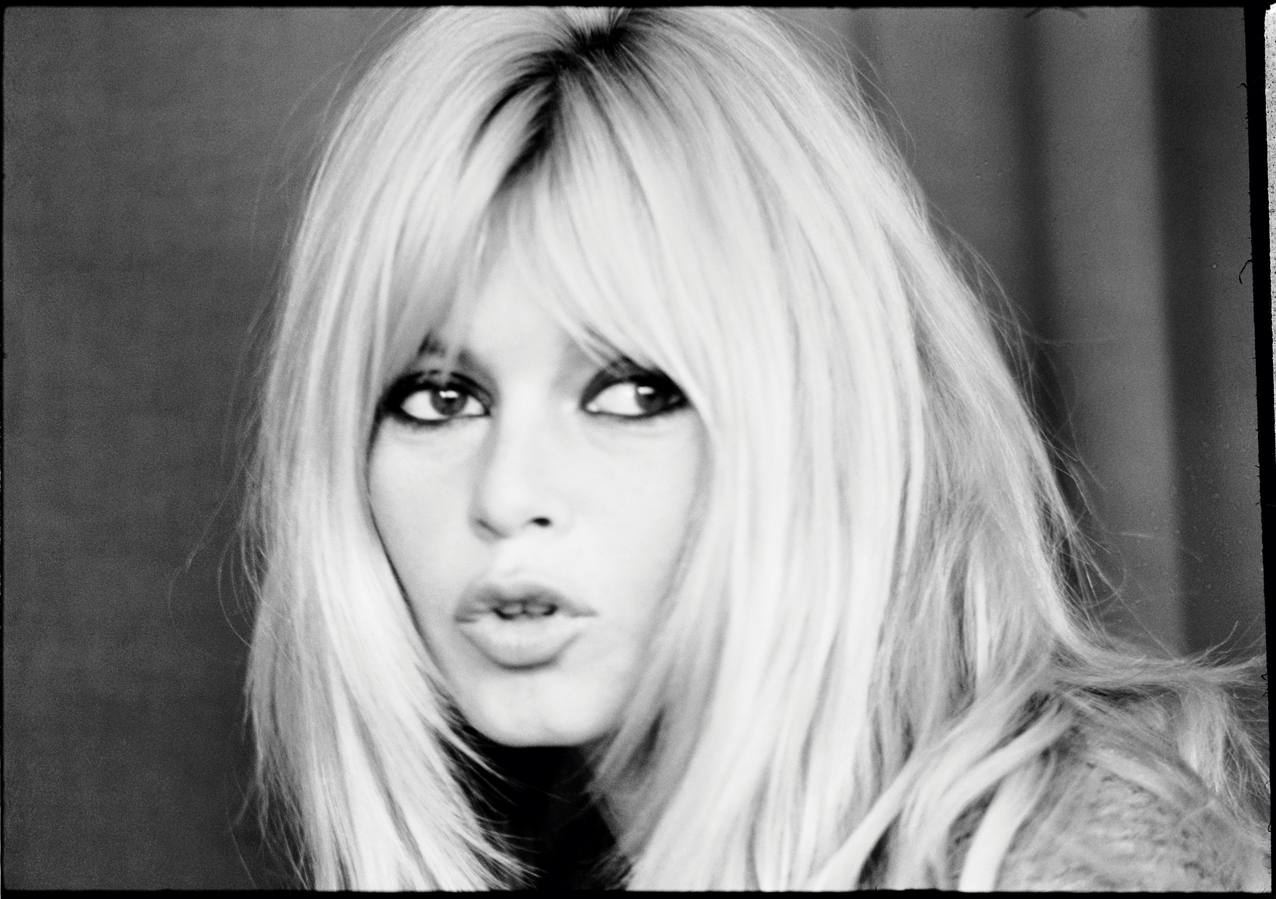 Brigitte Bardot